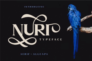 Choosing the Right Font for Your Website: A Real-World Test with Nuri