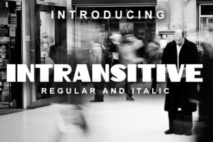 Intransitive: A Display Font for Editorial Elegance